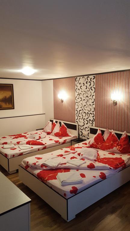 Appartement Casa Leo à Haţeg Extérieur photo