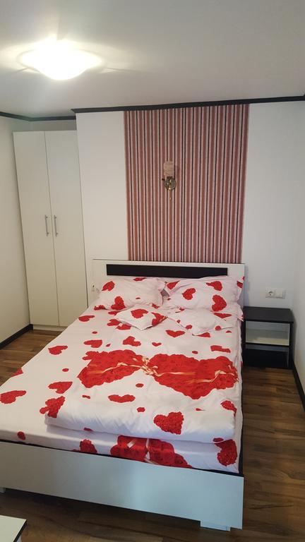 Appartement Casa Leo à Haţeg Extérieur photo